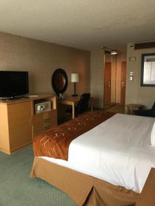 מיטה או מיטות בחדר ב-Trip Hotel Ithaca
