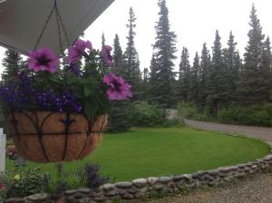 Zahrada ubytování Denali Primrose Bed & Breakfast