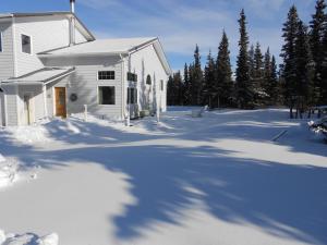 Denali Primrose Bed & Breakfast v zimě