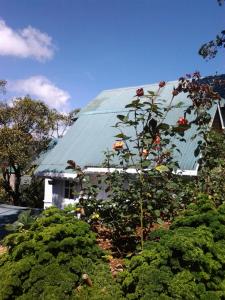Giardino di Sincere Wilderness Home stay