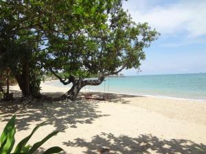 Naturlandskabet i nærheden af resortet