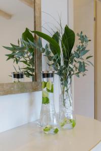 a vase with a plant in it on a table at Calma Hotel & Spa in Kastoria