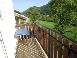 Príroda v okolí apartmánu