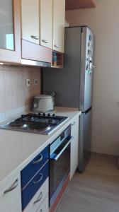 Köök või kööginurk majutusasutuses Apartment Vladan