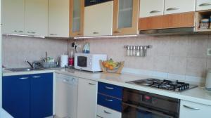 Köök või kööginurk majutusasutuses Apartment Vladan
