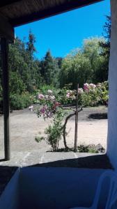 una ventana con vistas a un jardín con flores rosas en Montañon Negro "casa MariaLuisa", en Agua de Fontanales