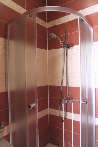 a shower with a glass door in a bathroom at Dobr Zdravich in Ufa