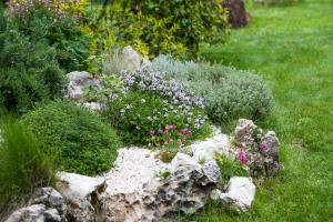 Afbeelding uit fotogalerij van B&B Al Colle in Pescosolido +16 foto's