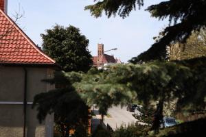 Fotografia z galérie ubytovania Noclegi Mazurow DARMOWY PARKING v destinácii Malbork