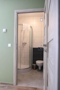 a bathroom with a shower and a toilet at Noclegi Mazurow in Malbork