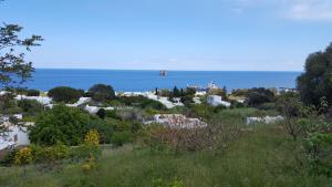 Gallery image of Agriturismo SoleMare in Stromboli +17 photos