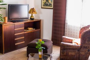 Televízia a/alebo spoločenská miestnosť v ubytovaní Apartment Maggi