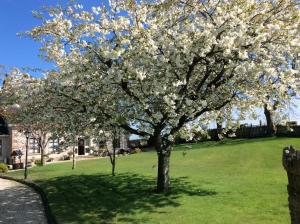 Gallery image of Coolmore House in Coleraine