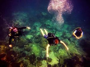 Snorkeling dan/atau menyelam di resort atau berdekatan