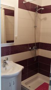 a bathroom with a sink and a shower with a mirror at Apartman Sara in Dugi Rat +16 photos