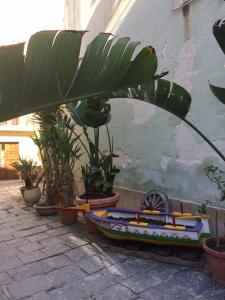 eine Gruppe von Topfpflanzen, die neben einer Wand sitzen in der Unterkunft The Ronco Apartment in Syrakus