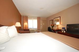 Habitación de hotel con cama grande y TV en Magnuson Hotel Red Baron, en Garden City