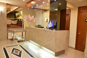 Vstupní hala nebo recepce v ubytování Hotel Galaxias