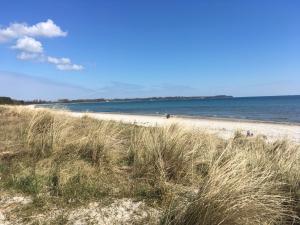 a beach with tall grass and the ocean at Ferienwohnung Morgenrot in Juliusruh