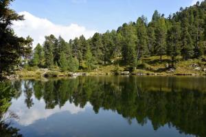 Fotografie z fotogalerie ubytování Haus Ofner am Kreischberg v destinaci Sankt Georgen ob Murau