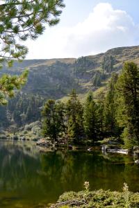 Fotografie z fotogalerie ubytování Haus Ofner am Kreischberg v destinaci Sankt Georgen ob Murau