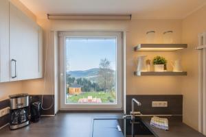 Kuchyň nebo kuchyňský kout v ubytování Landhäuser Bergwiese - Ferienhaus Höhenblick + 13 fotografií