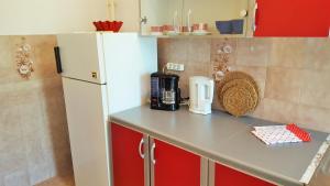 a kitchen with a counter top with a refrigerator at Apartment Lavanda in Fažana