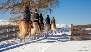 Bilde i galleriet til Tschögglbergerhof i San Genesio Atesino