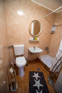 uma casa de banho com um WC, um lavatório e um espelho. em Apartman Mm em Slavonski Brod