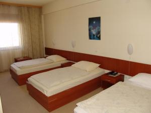 斯拉沃尼亚布罗德Hotel Zovko的一间设有三张床的客房,墙上挂着一幅画