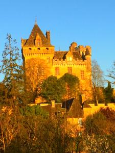 een groot kasteel bovenop een heuvel bij Maison de Montfort in Vitrac