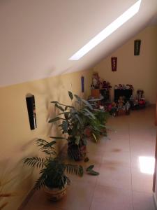 Foto da galeria de O Lar de Carmiña em Devesa