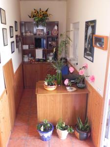 Foto da galeria de O Lar de Carmiña em Devesa