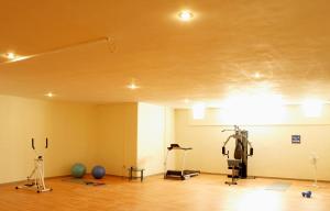 Posilňovňa alebo fitness centrum v ubytovaní Luxury Villa Trapezia