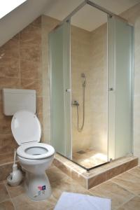 コパオニクにあるDobricin Konak Apartmaniのトイレとガラスのシャワー付きのバスルーム +60枚の写真