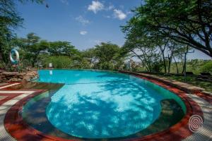 une grande piscine d'eau bleue dans l'établissement Serengeti Serena Safari Lodge, au parc national du Serengeti