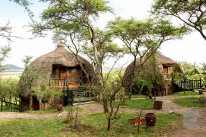 Photo de la galerie de l'établissement Serengeti Serena Safari Lodge, au parc national du Serengeti