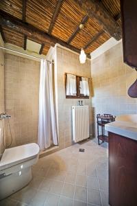 a bathroom with a toilet and a sink at Villa Thea in Megála Khoráfia