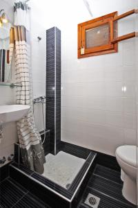 a bathroom with a shower and a toilet and a sink at Villa Angela in Vourvourou