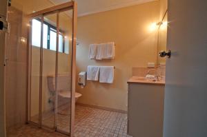 a bathroom with a shower, sink, and toilet at Fig Tree Motel in Narrandera