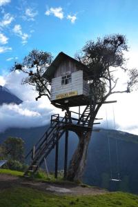 una casa sull'albero seduta sopra un albero di Samay Apart a Baños