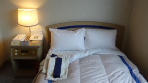 Postel nebo postele na pokoji v ubytování Silk Hotel