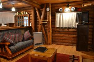 TV a/nebo společenská místnost v ubytování Hakuba Mominoki Hotel