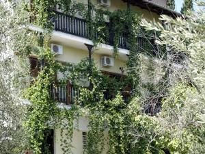 Zahrada ubytování Hotel Figalia