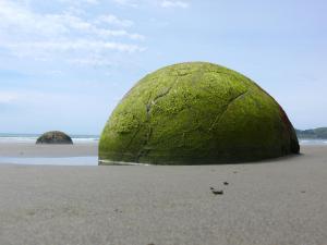 a moss covered rock sitting on a beach at Motels by the Moeraki Boulders Holiday Park in Hampden