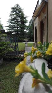 Aed väljaspool majutusasutust Villa Scalabrini
