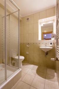 a bathroom with a shower and a toilet and a sink at Pensjonat Śnieżka SPA in Karpacz