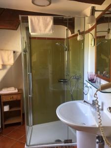 ein Bad mit einer Dusche und einem Waschbecken in der Unterkunft Wirtshaus Jagawirt in Sommereben