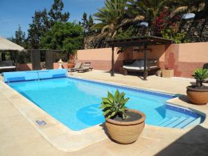 een zwembad met twee potplanten ernaast bij Casa El Morro in Uga