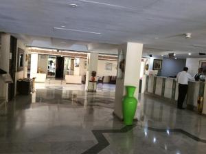 Vstupní hala nebo recepce v ubytování Chems Hotel + 37 fotografií